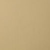 342/000 Alu Plain Polished Goldtone