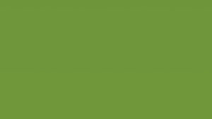 8232 Magnetic Apple Green Glossy